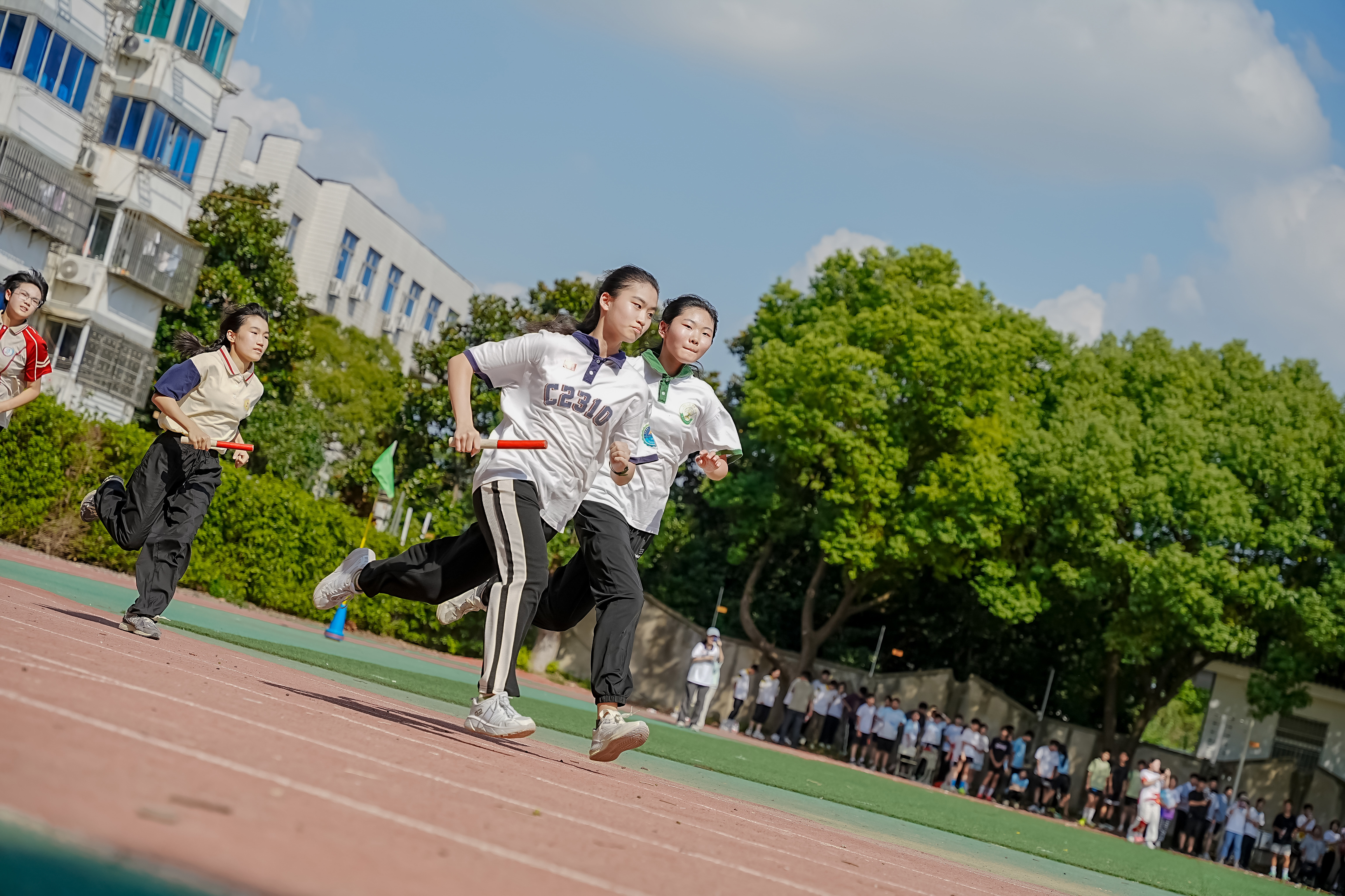 _DSC0797