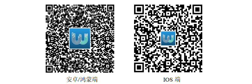 screenshot_2025-05-30_12-58-37